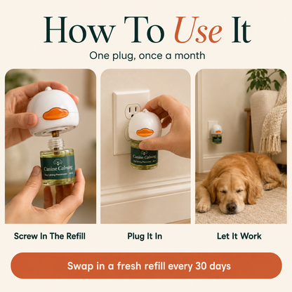 Canine Calming Diffuser Kit