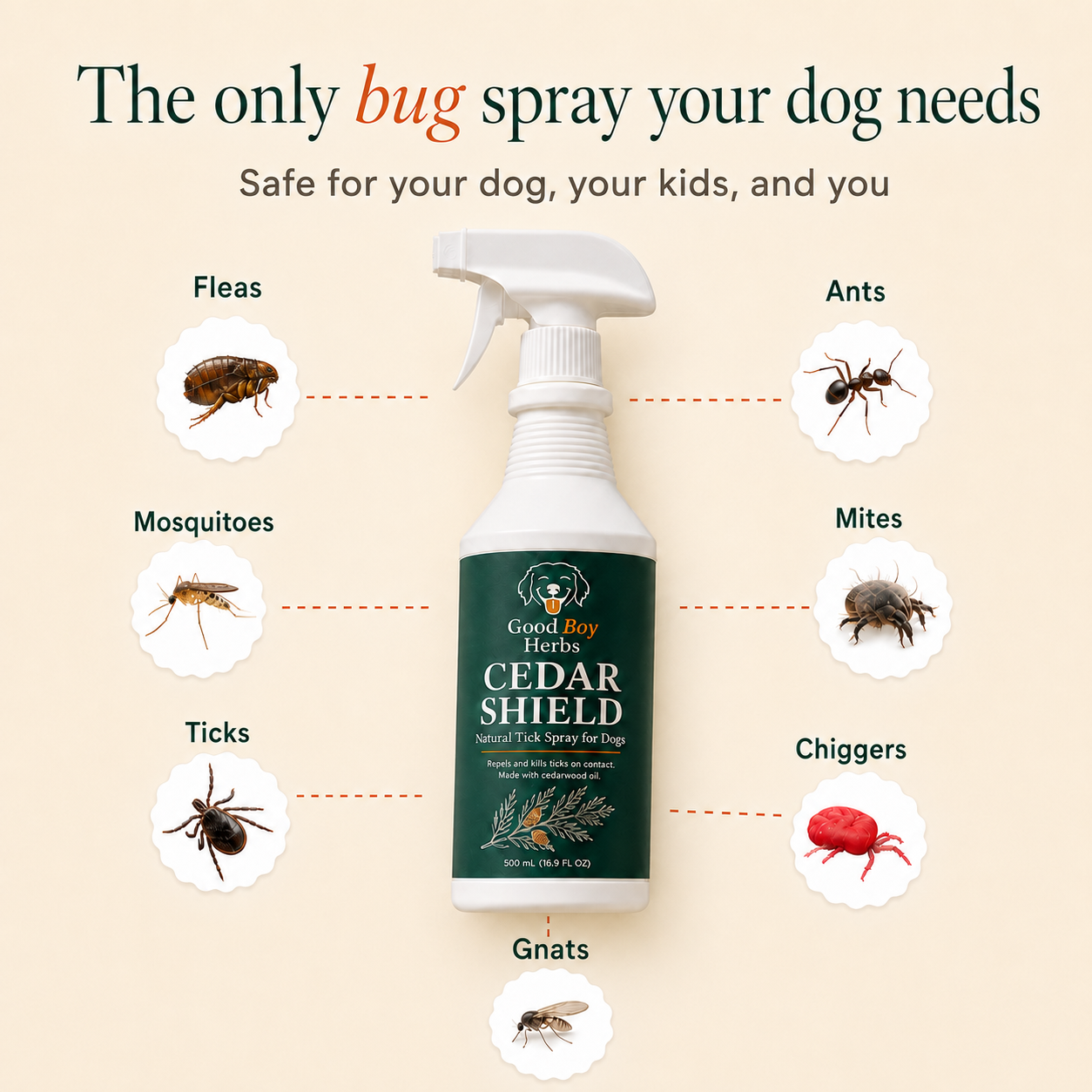Cedar Shield - Natural Bug Spray For Dogs