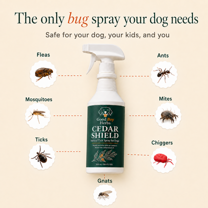 Cedar Shield - Natural Bug Spray For Dogs