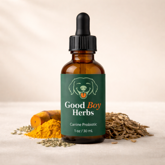 Herbal Dog Probiotic (30ML)