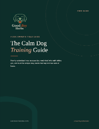 The Calm Dog Training Guide
